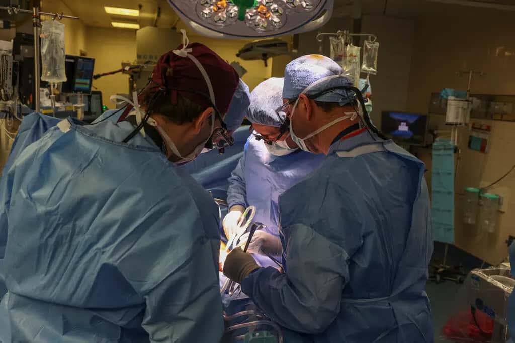Surgeons Successfully Transplant First Pig Kidney Into Patient
