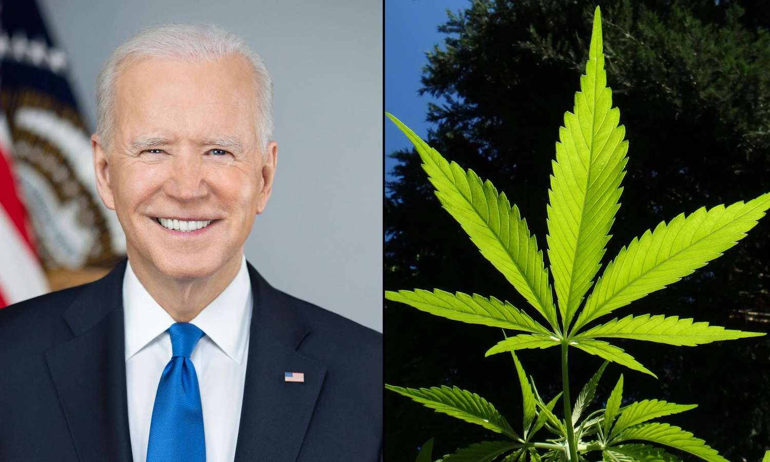 Joe Biden to reclassify marijuana