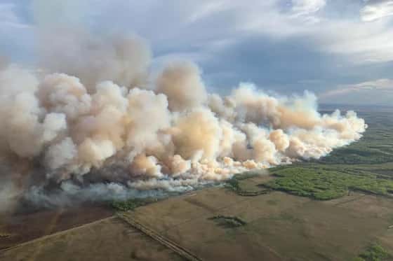 Canadian Wildfires Trigger Air Quality Alerts Across Four U.S. States