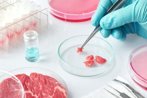 Italy Bans Lab-Grown Meat and Synthetic Foods