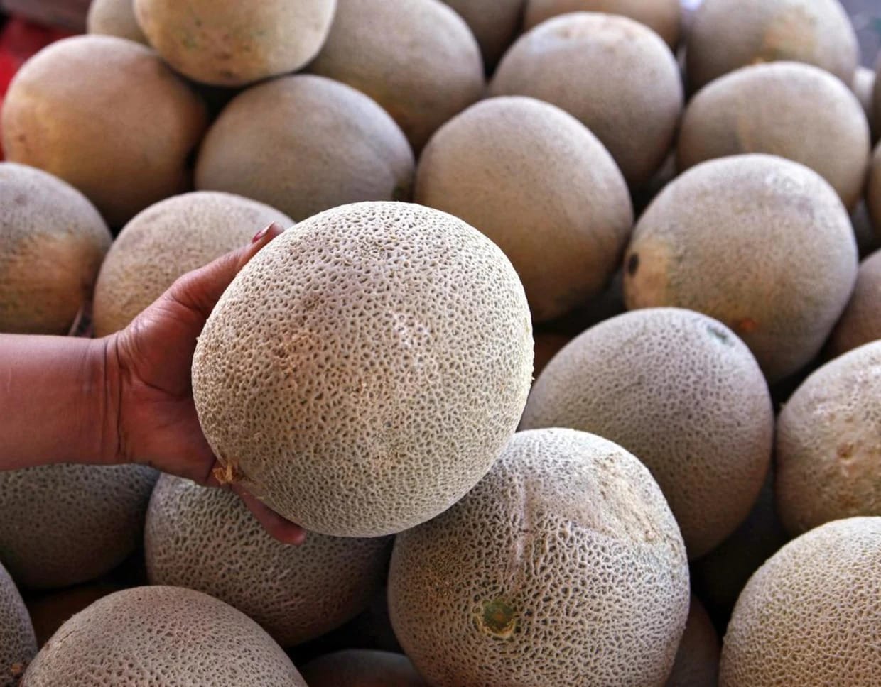 Salmonella Outbreak Linked to Cantaloupes Leads to Two Deaths and Expanding Recalls