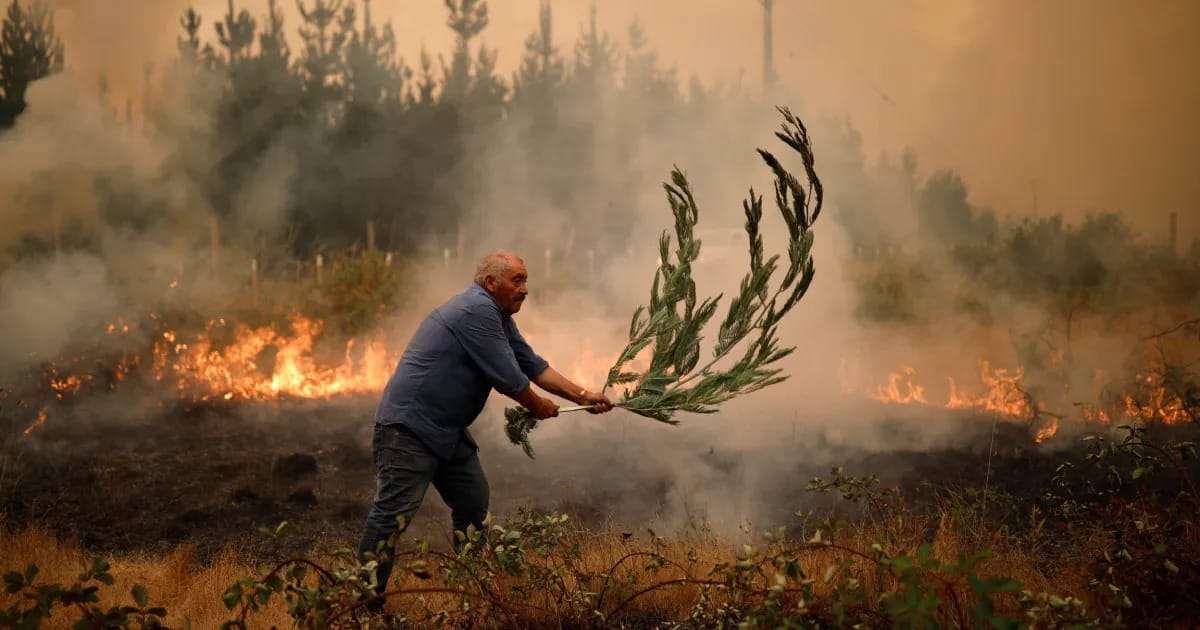Catastrophic Wildfires Engulf Chile: A National Emergency Declared